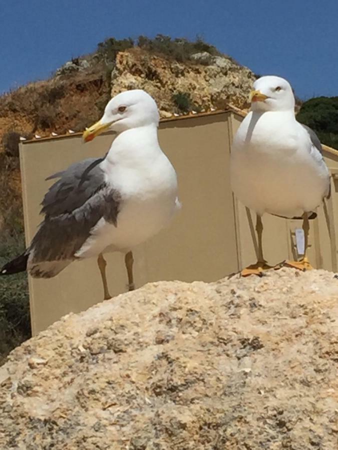 Apartment In Algarve,Vilamoura Dış mekan fotoğraf